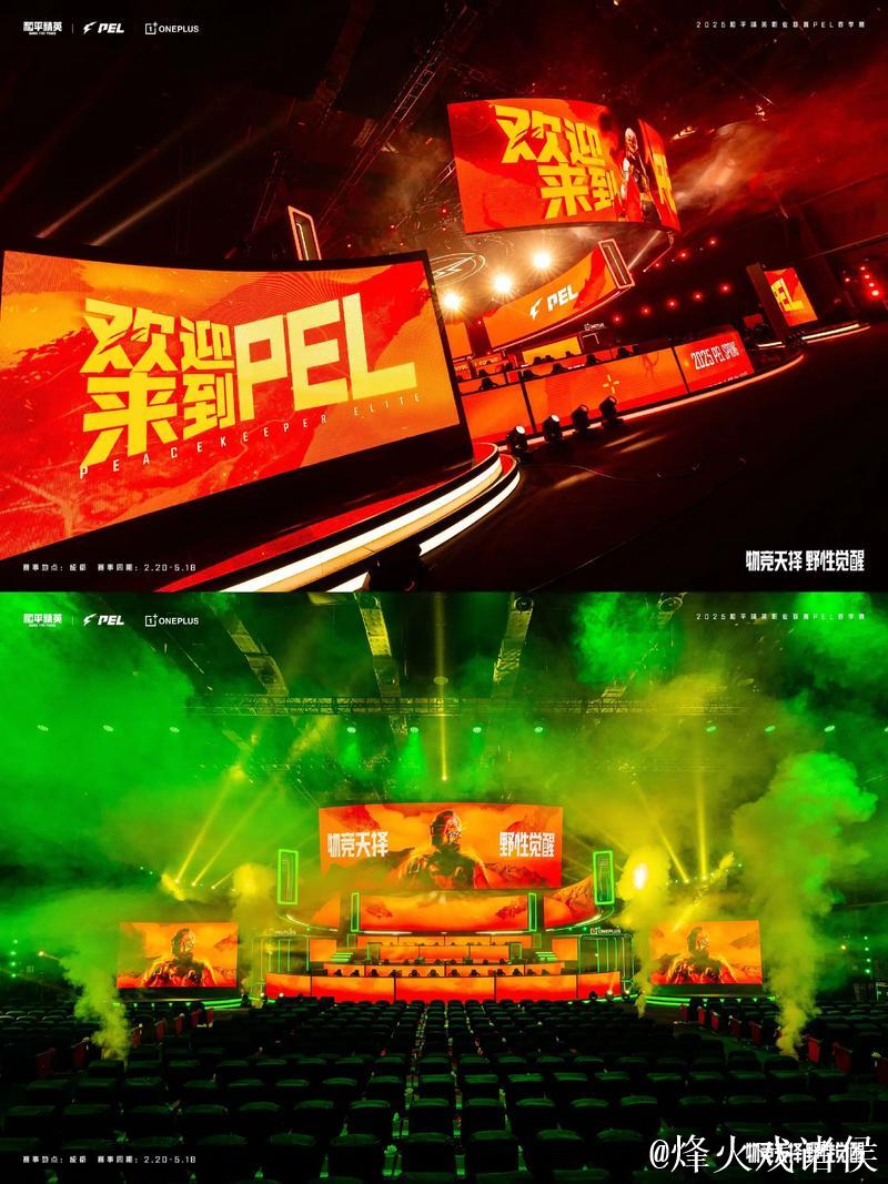 PGC 2025&PMGC 2025开幕式：两大吃鸡赛事同场举办、同一舞台