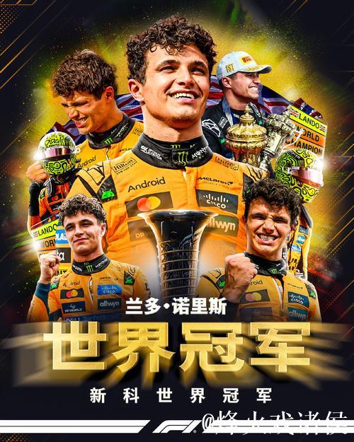 诺里斯首获F1车手总冠军 维斯塔潘无缘五连冠 诺里斯首获F1车手总冠军 维斯塔潘无缘五连冠